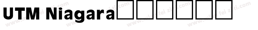 UTM Niagara字体转换
